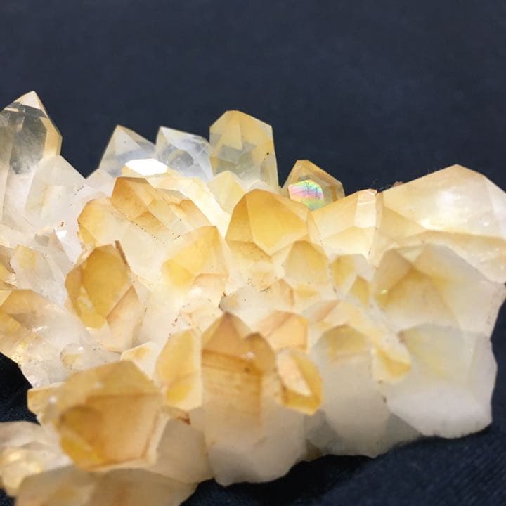 ゴールデンヒーラー アーカンソー産 100g