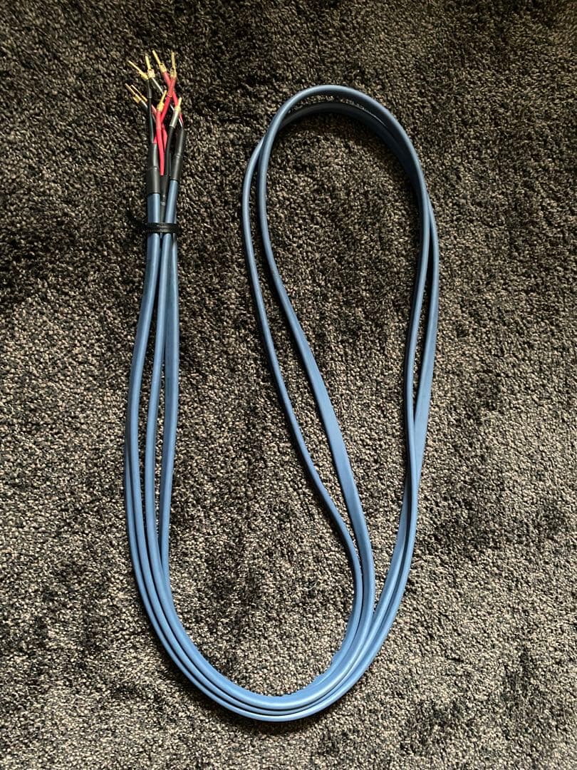 パイオニア スピーカーケーブル 3.0m ペア