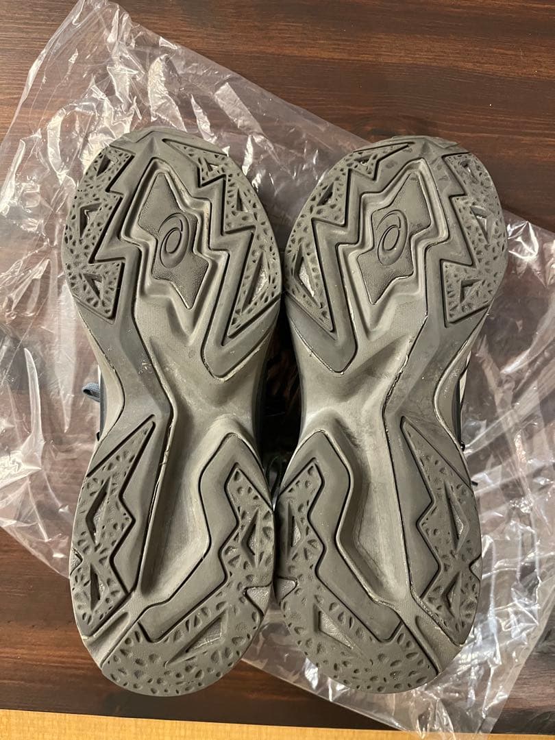 靴 asics protoblast andersson bell
