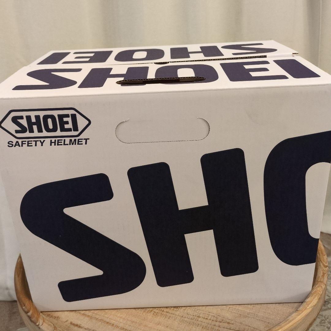 ☆早い者勝ち☆SHOEIGIamster シルバーサイズＬ