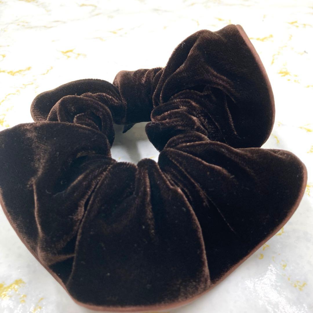 新品未使用❣️ALEXANDRE DE PARIS アレクサンドルドゥパリシュシュ