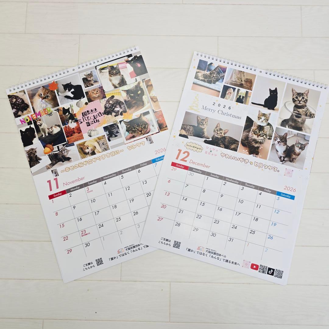 ③《猫》壁掛けチャリティーカレンダー5枚セット