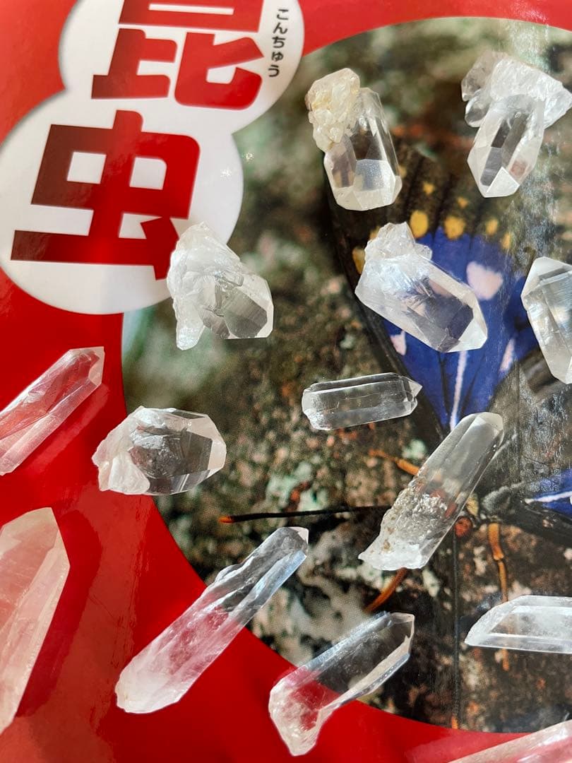 【国産鉱物】乙女鉱山産　水晶たくさんセット　ラスト