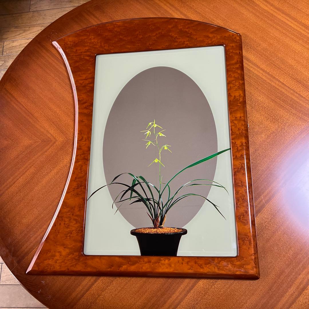 壁掛け鏡 曲線デザイン 植物イラスト付き