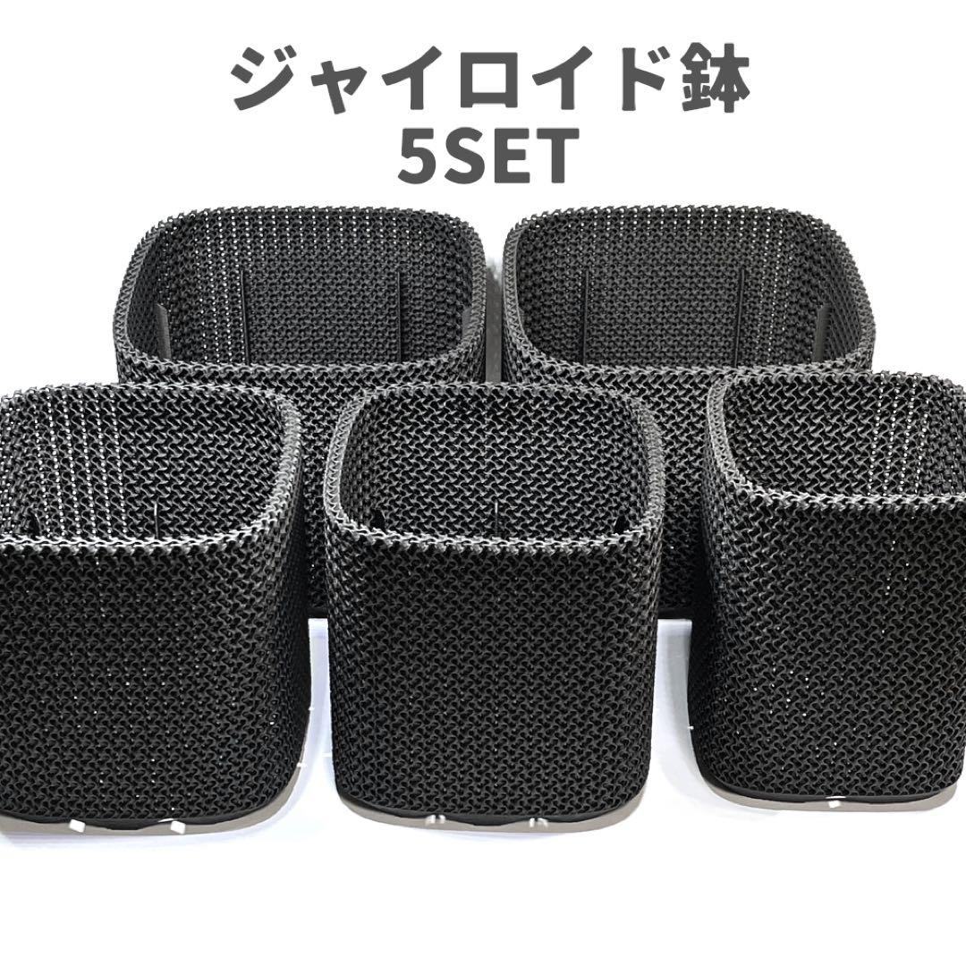 ジャイロイド鉢5個セット