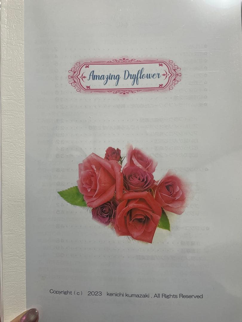 売切価格 アメージングドライフラワー セット