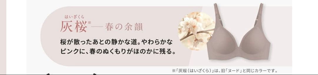 もちフィットブラジャー LLサイズ 3枚セット
