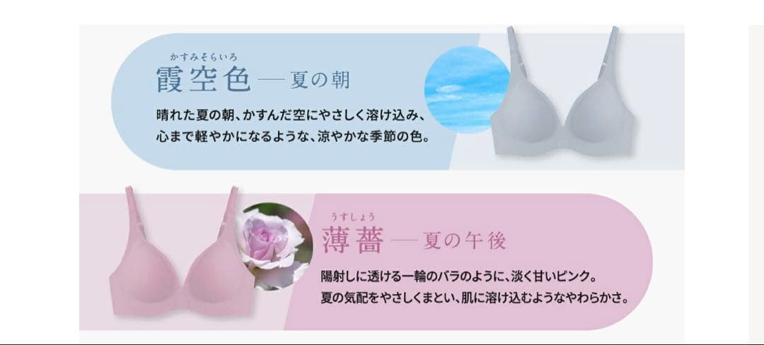 もちフィットブラジャー LLサイズ 3枚セット