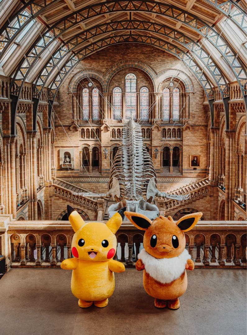 3枚セット ピカチュウ Pikachu at the Museum プロモ