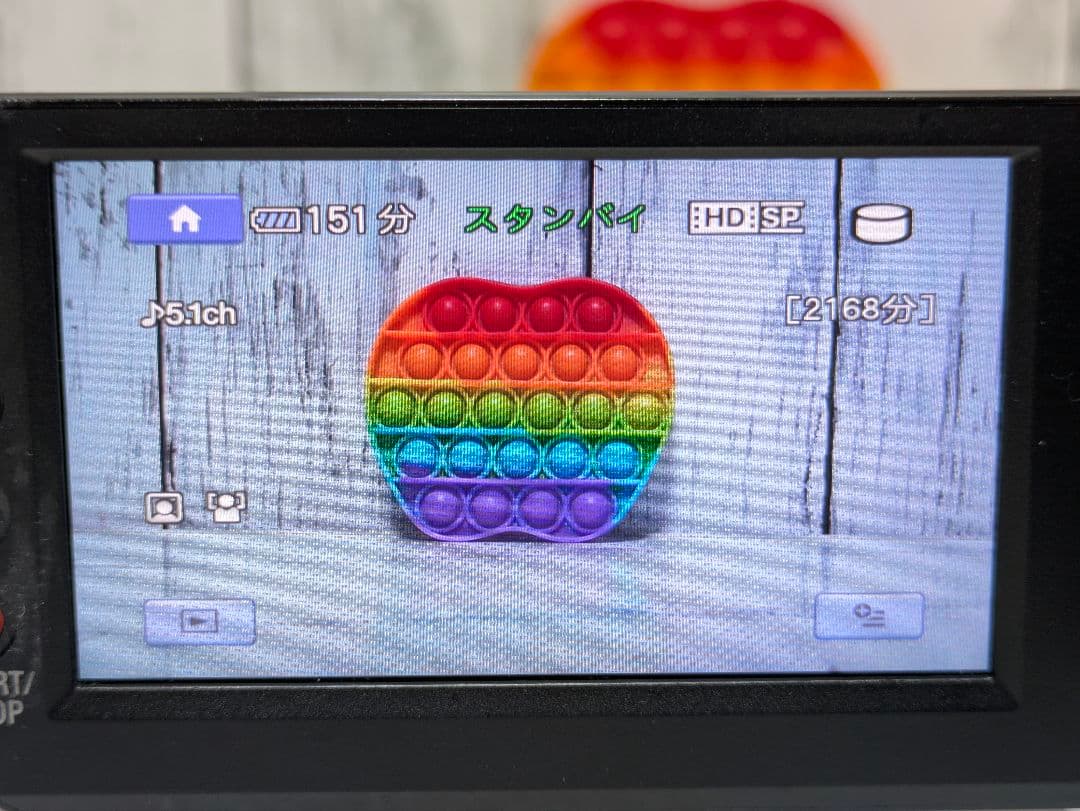 SONY　HDR-SR12