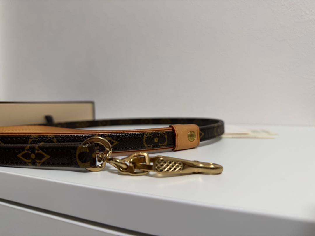 【美品】LOUISVUITTONレッスバクスター MMリード モノグラムヴィトン