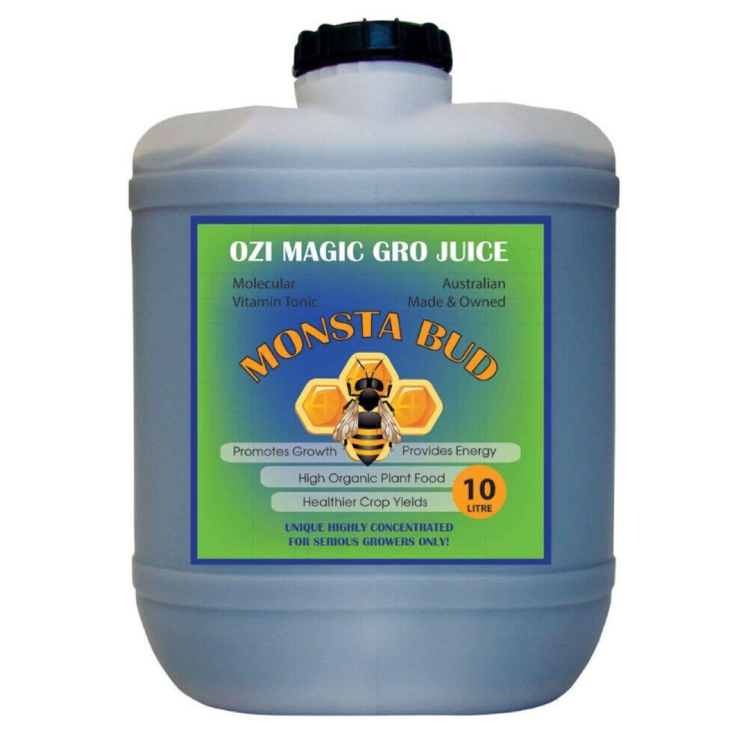 その他 monsta bud