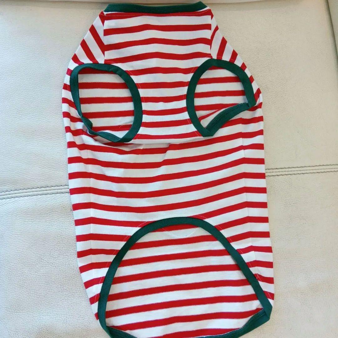 GUCCI 　グッチ　ボーダー　ストライプいちご　犬服 L 新品未使用タグ付き