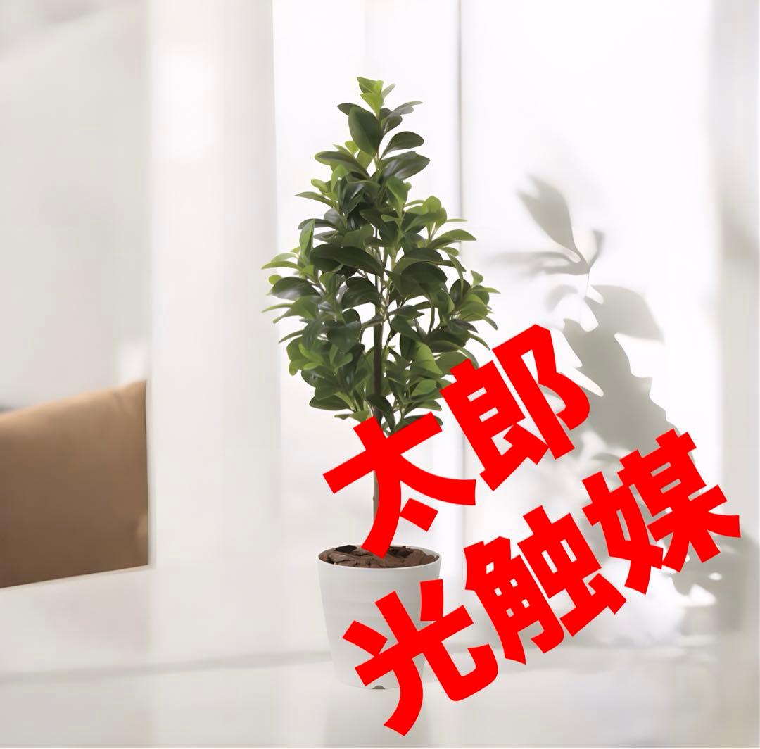 光触媒　人工観葉植物　フェイクグリーン　フレッシュマネーツリー1.15m