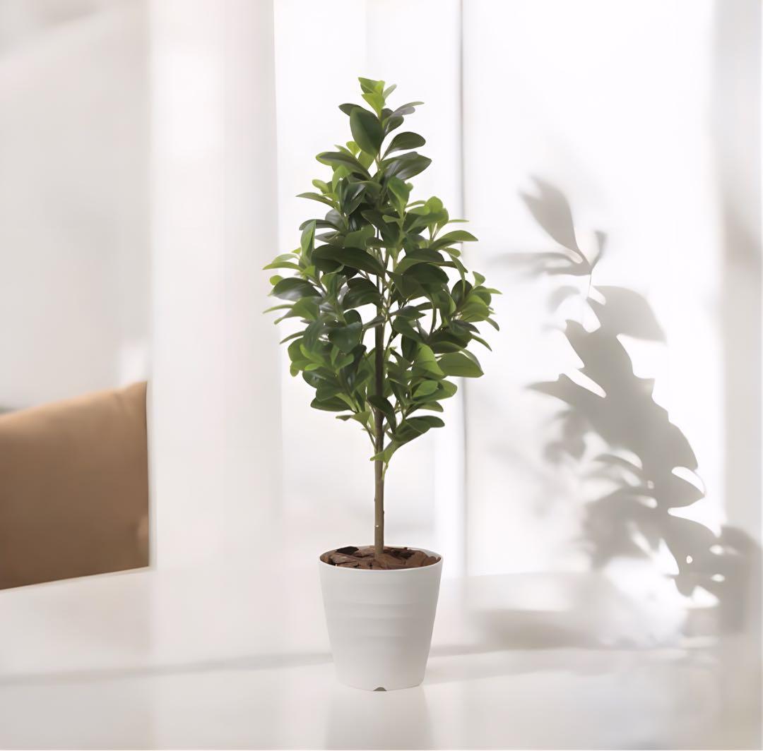 光触媒　人工観葉植物　フェイクグリーン　フレッシュマネーツリー1.15m