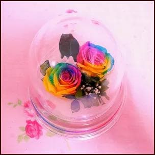プリザーブドフラワーレインボーローズドーム