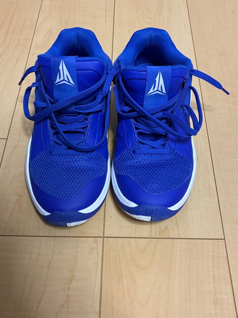 Nike JA1 青色 バッシュ 27.5cm