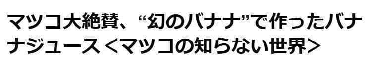 処分◆180cm巨大苗◆サンタカタリーナ◆早生タイプゆえ初心者収穫容易、低木耐寒