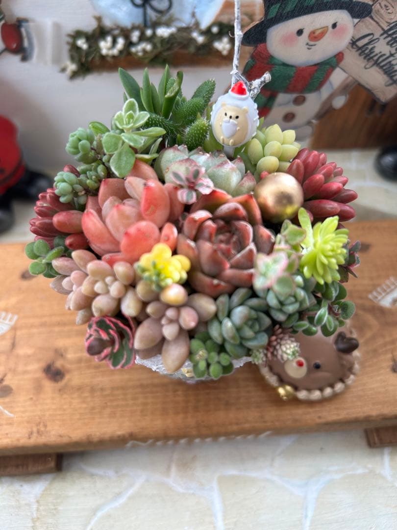 ✳︎専用です✳︎多肉植物そのまま飾れる✳︎Xmas素焼きリメイク鉢　ブルー色