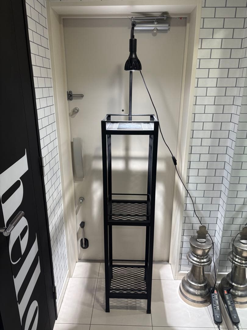 ライトスタンド付　植物棚　アイアン棚　アイアンシェルフ　アガベ　チタノタ