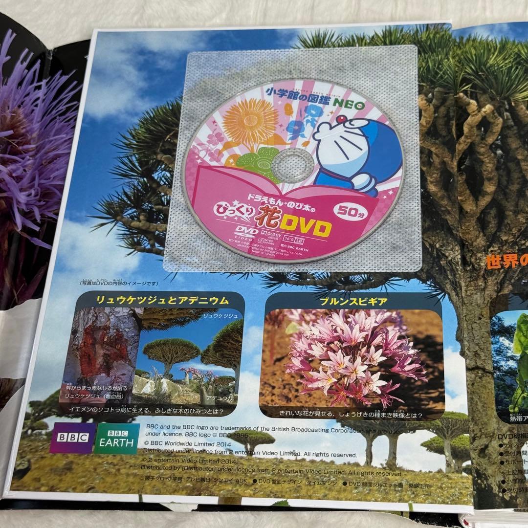 【良品・カバーあり】小学館の図鑑NEO 全巻20冊セット （良品・付録つき多数）