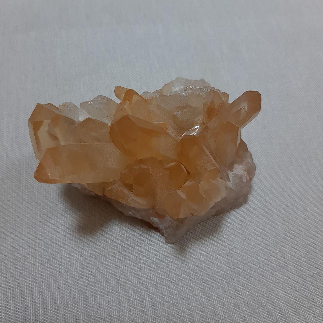 ゴールデンヒーラー