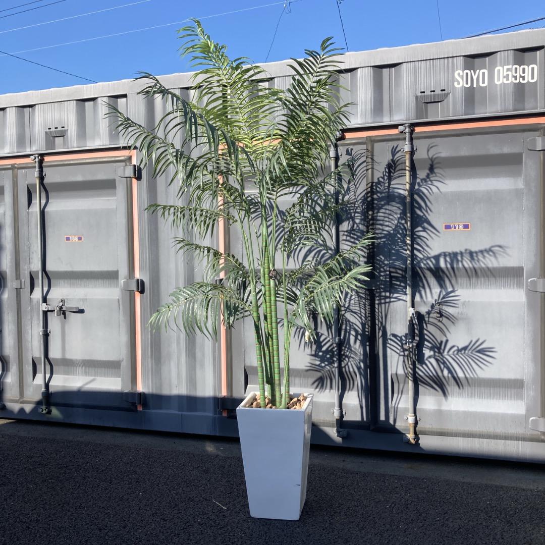 【お値下げOK】大型フェイクグリーン 光触媒人工植物 光の楽園 高さ約260cm