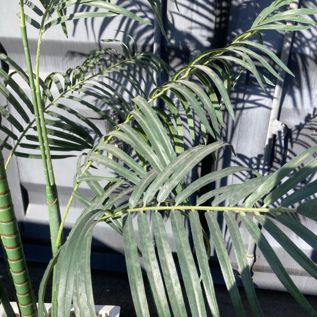 【お値下げOK】大型フェイクグリーン 光触媒人工植物 光の楽園 高さ約260cm