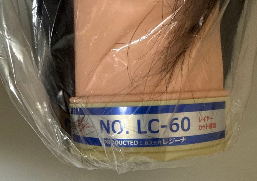 国家試験用カットウィッグ6体セット