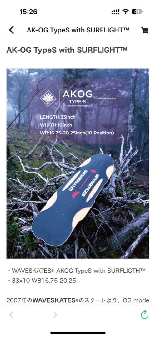 【美品】WAVESKATES サーフスケート　コンプリート　日本斜壁協会