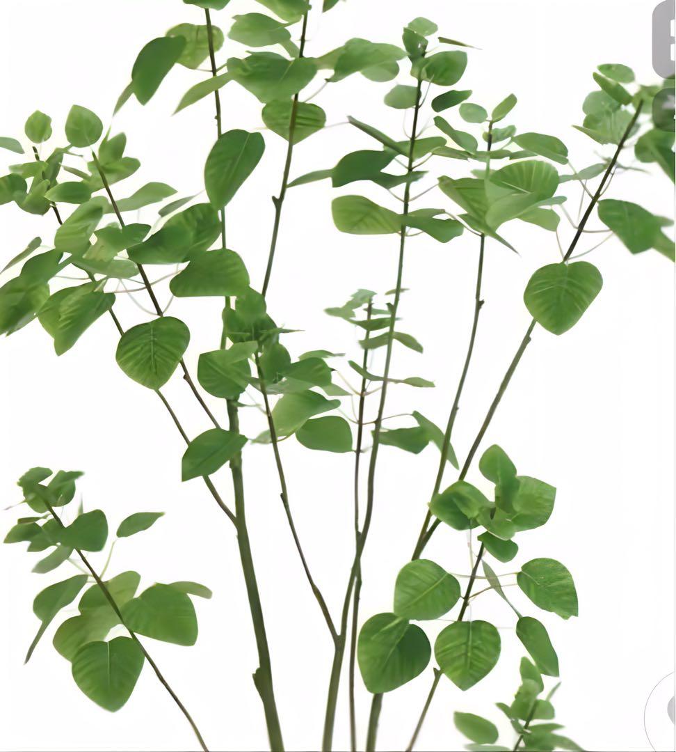 光触媒　人工観葉植物　ウォールグリーン　フェイクグリーン　スモークツリー150