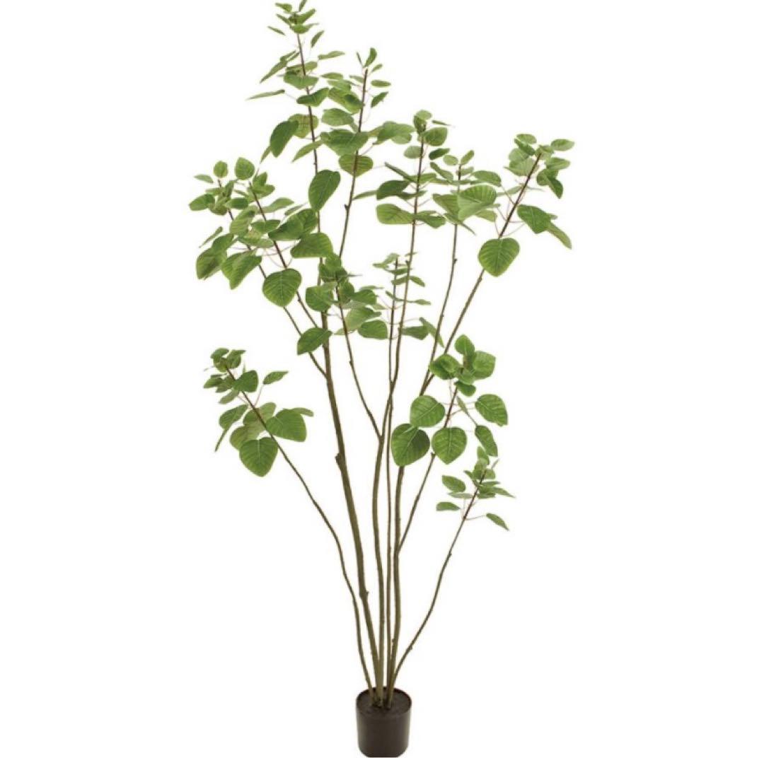 光触媒　人工観葉植物　ウォールグリーン　フェイクグリーン　スモークツリー150