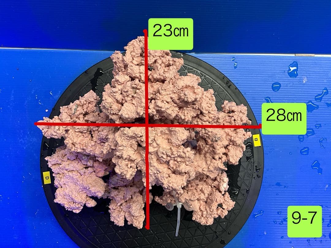 人工ライブロック　No.9-7 CO2 無害化処理済